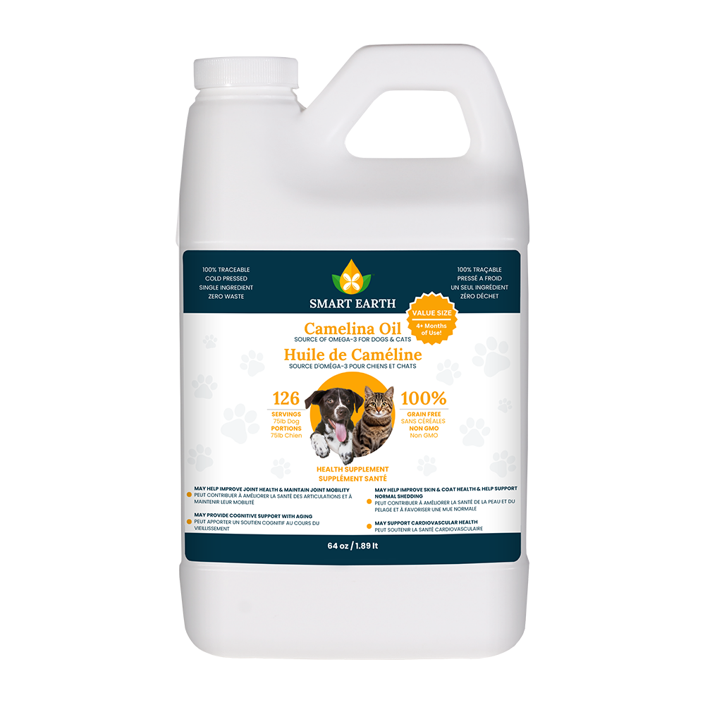 Camelina Oil for Canine